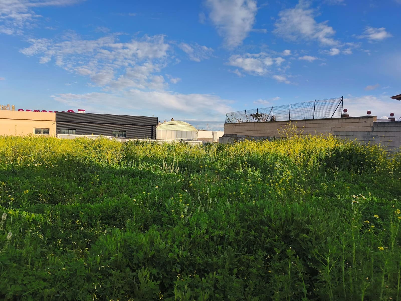Building Plot for sale in Malaga city - € 300,000 (Ref: 9988623)