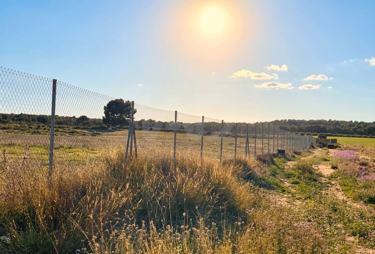 Solar/Parcela en Moratalla en venta - 2.610.000 € (Ref: 9988628)