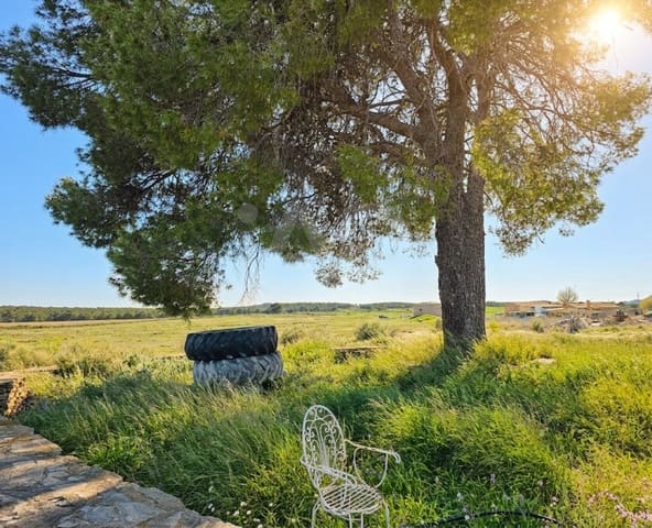 Area Edificabile in vendita in Moratalla - 2.610.000 € (Rif: 9988628)