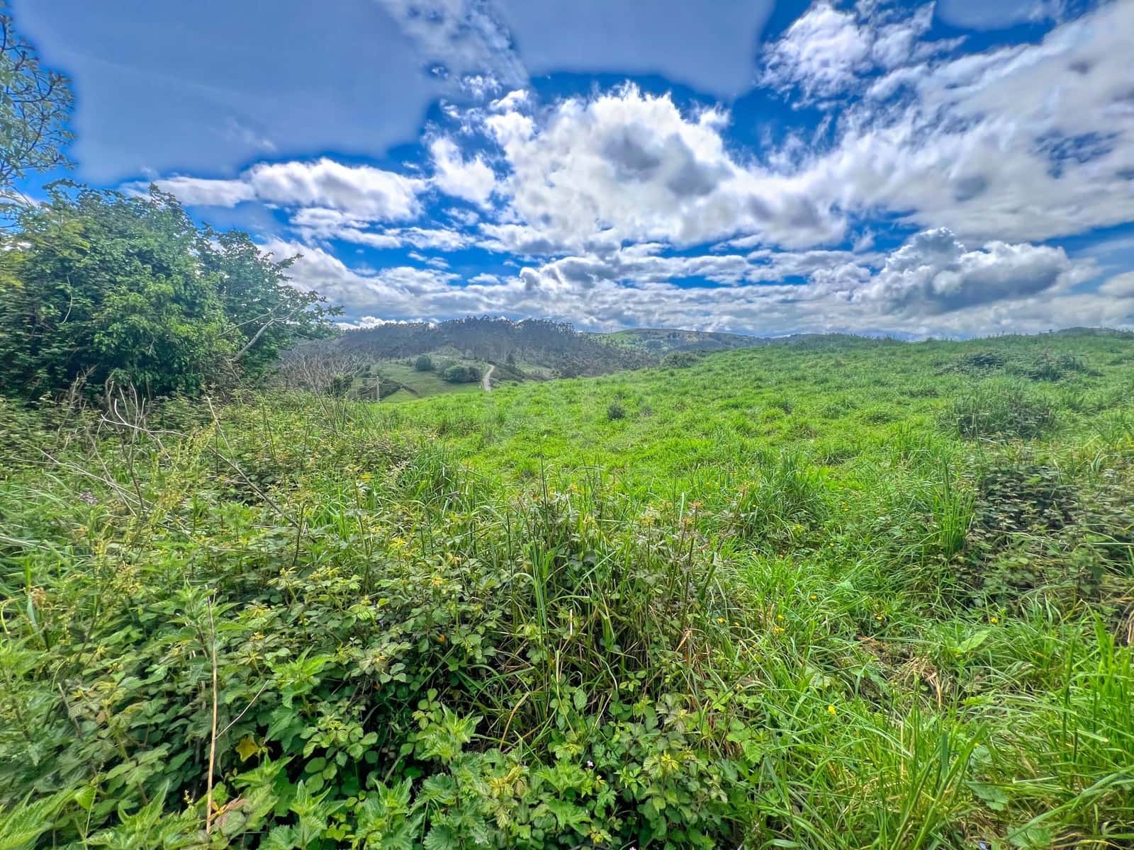 Terreno/Finca Rústica en Castrillón en venta - 39.500 € (Ref: 9988634)