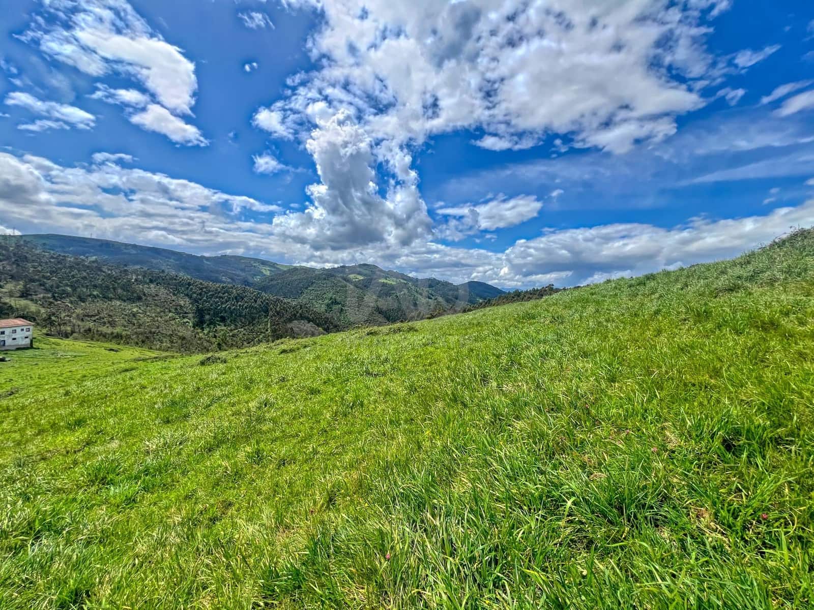Terreno/Finca Rústica en Castrillón en venta - 39.500 € (Ref: 9988634)