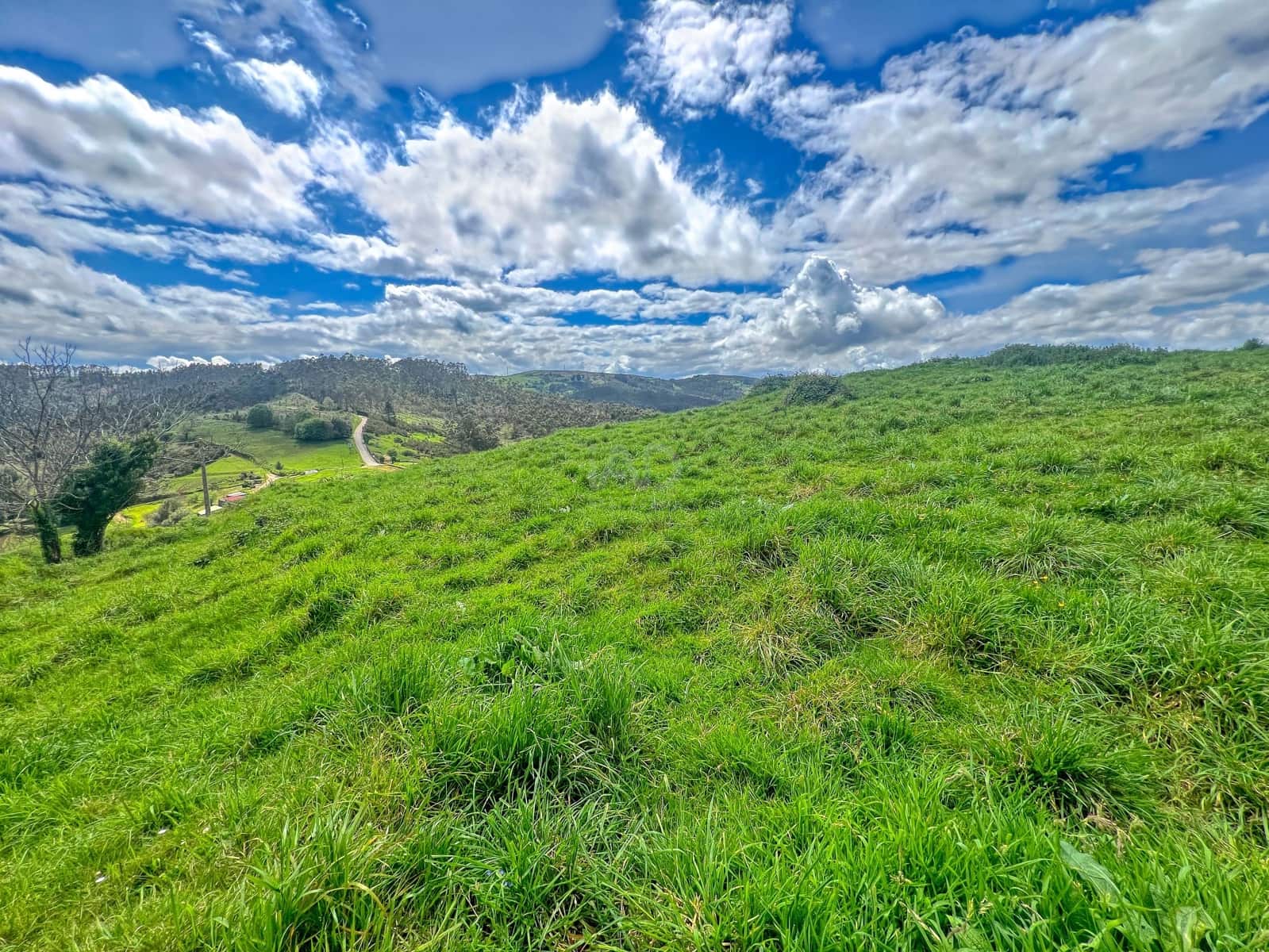 Terreno/Finca Rústica en Castrillón en venta - 39.500 € (Ref: 9988634)