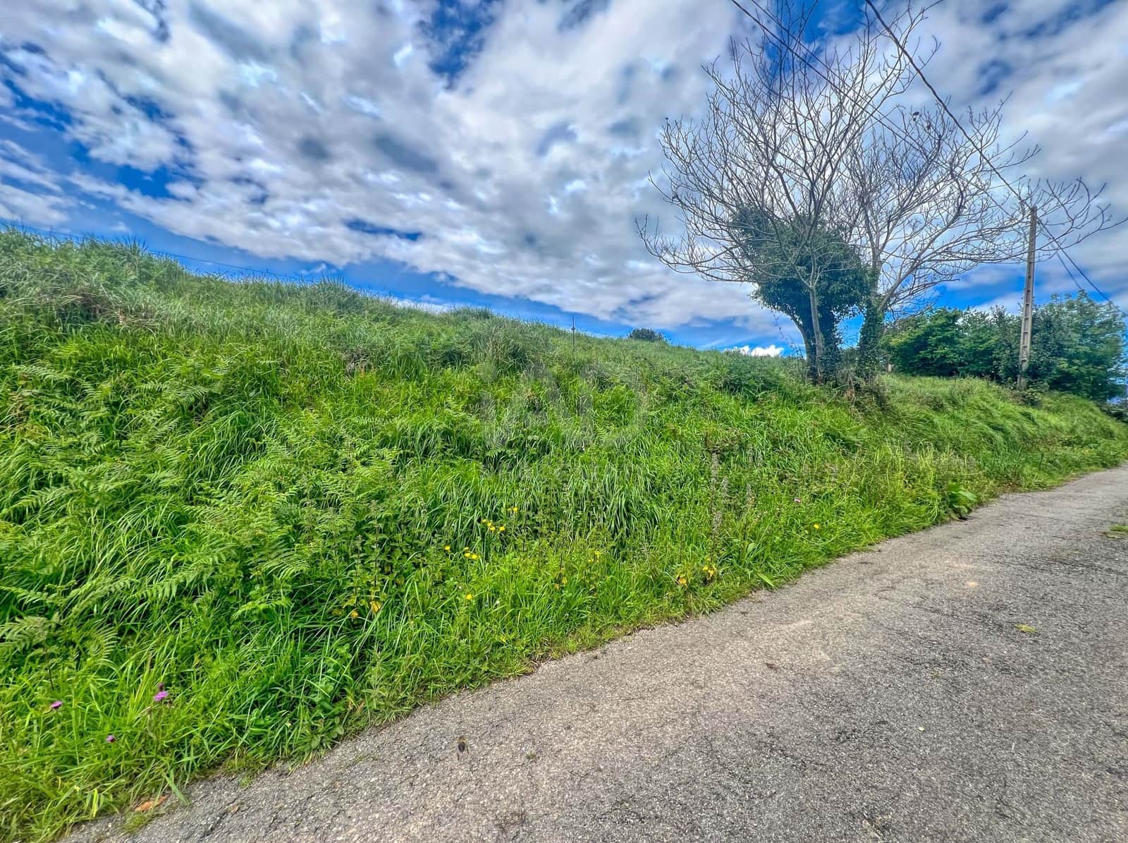 Terreno/Finca Rústica en Castrillón en venta - 39.500 € (Ref: 9988634)