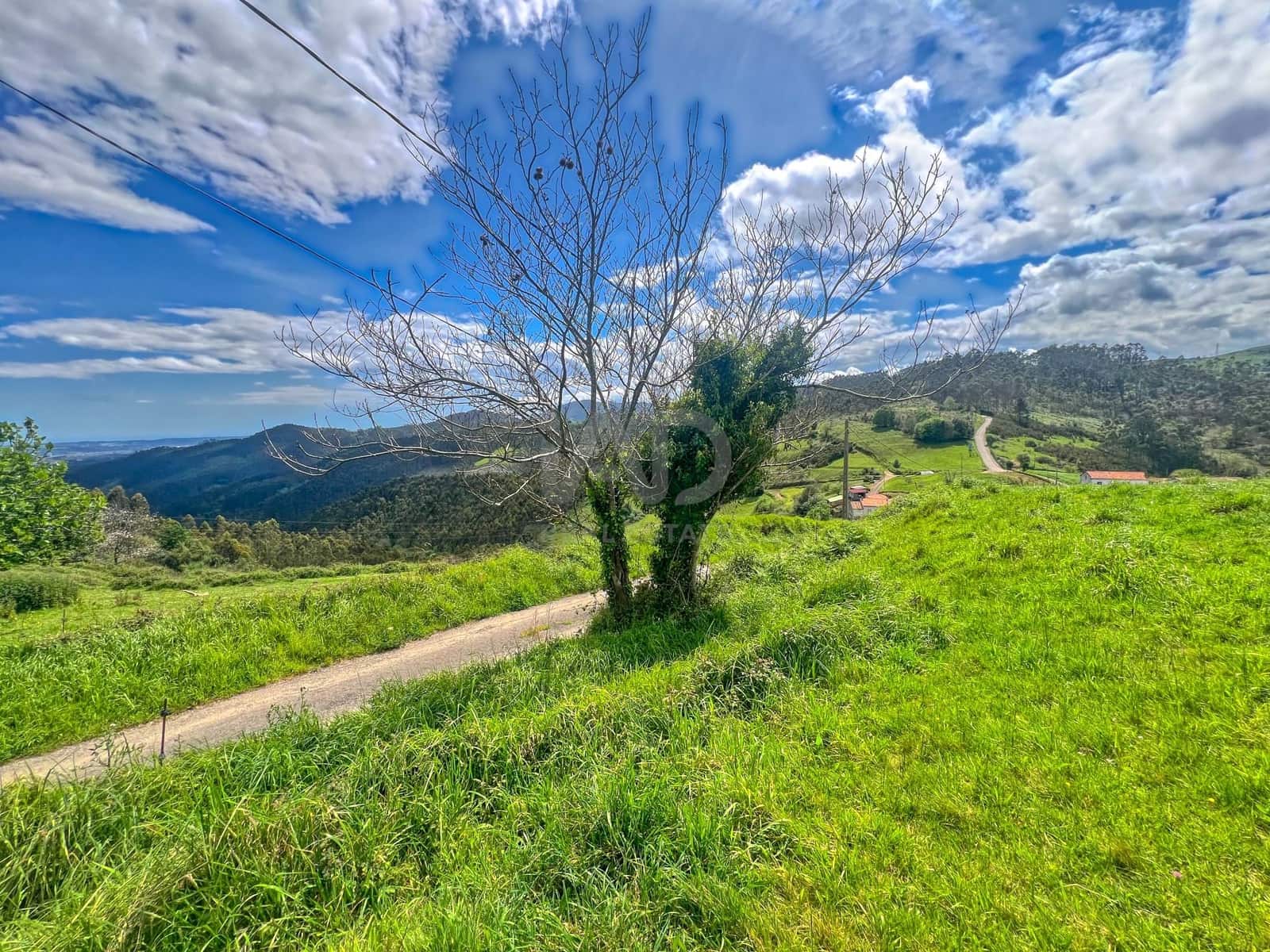 Terreno/Finca Rústica en Castrillón en venta - 39.500 € (Ref: 9988634)