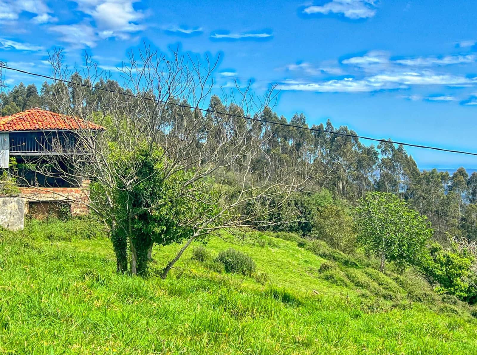 Terreno/Finca Rústica en Castrillón en venta - 39.500 € (Ref: 9988634)