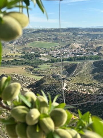 Adosado de 6 habitaciones en Granada ciudad en venta con garaje - 78.900 € (Ref: 9988672)