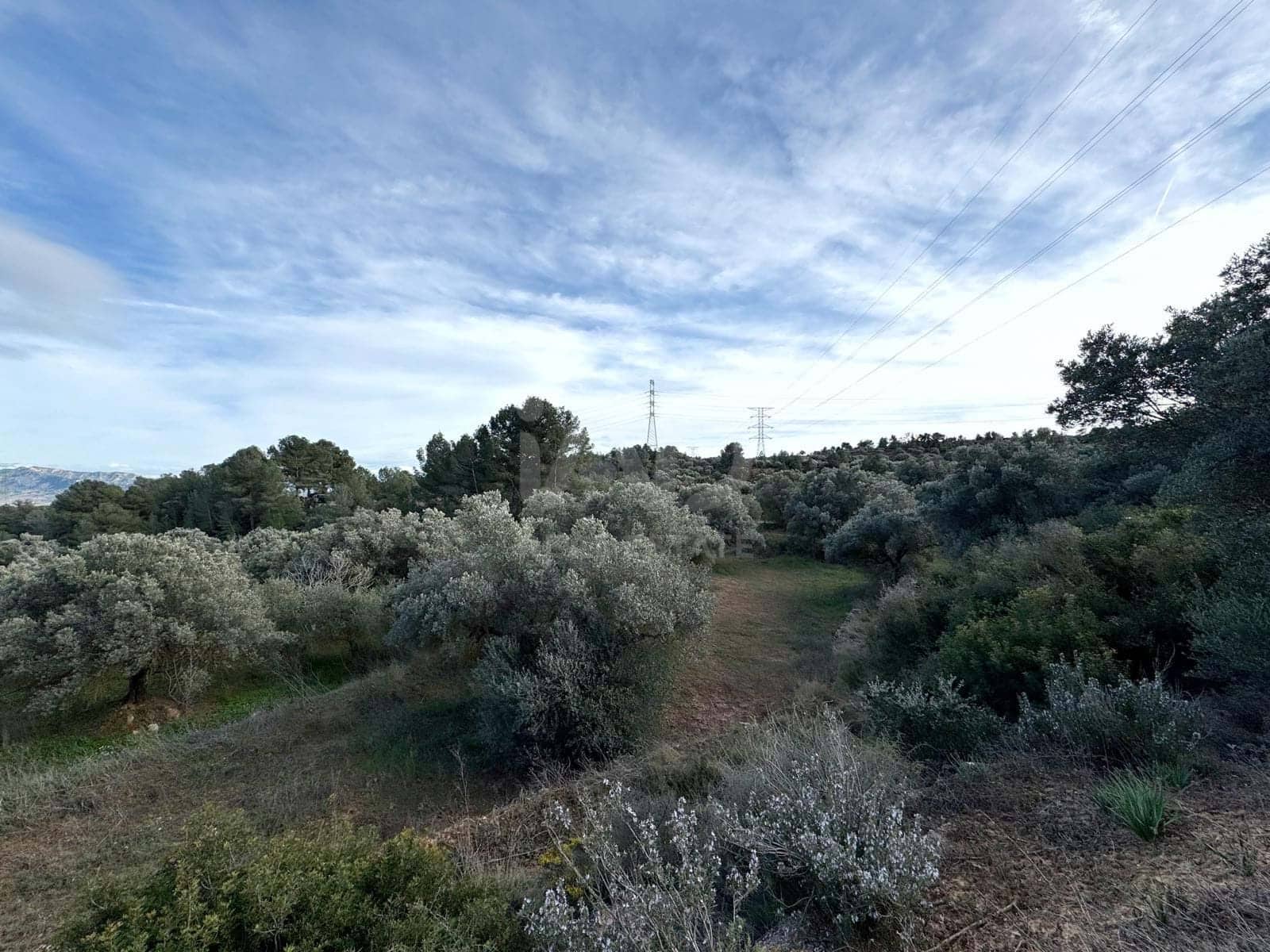 Terreno Non Edificato in vendita in Tarragona citta - 39.900 € (Rif: 9988694)