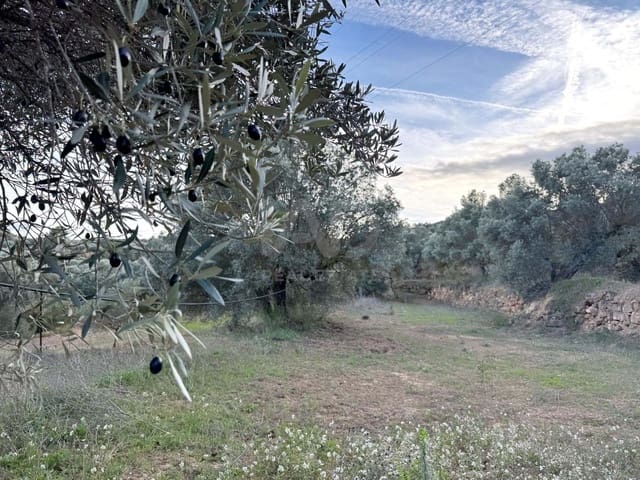 Ubebygd land til salgs i Tarragona by - € 39 900 (Ref: 9988694)