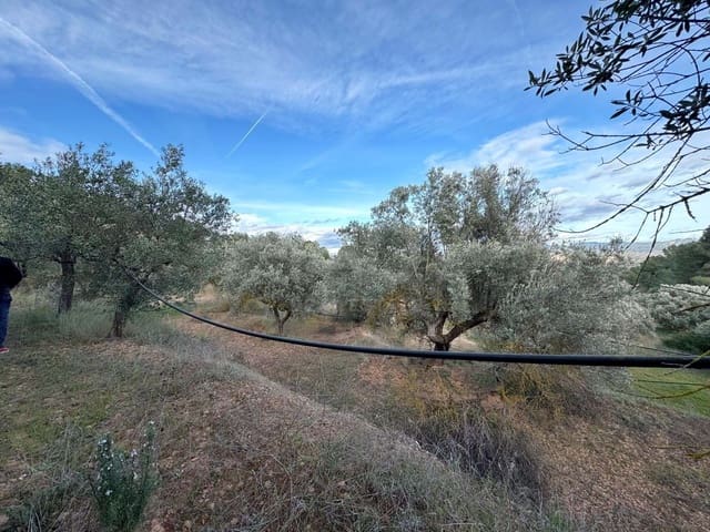 Ubebygd land til salgs i Tarragona by - € 39 900 (Ref: 9988694)