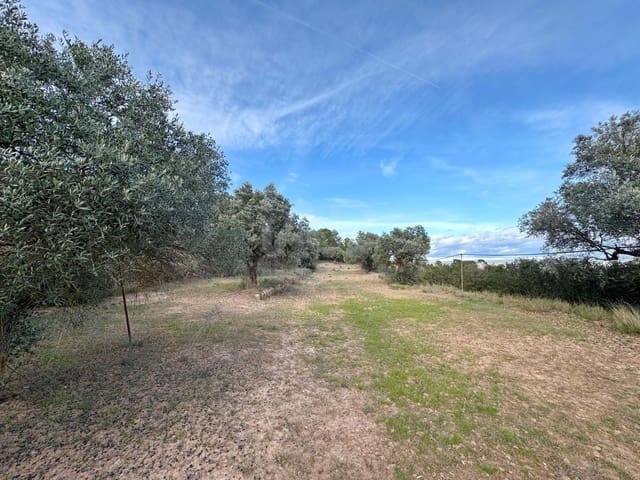 Ubebygd land til salgs i Tarragona by - € 39 900 (Ref: 9988694)