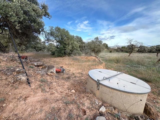 Ubebygd land til salgs i Tarragona by - € 39 900 (Ref: 9988694)