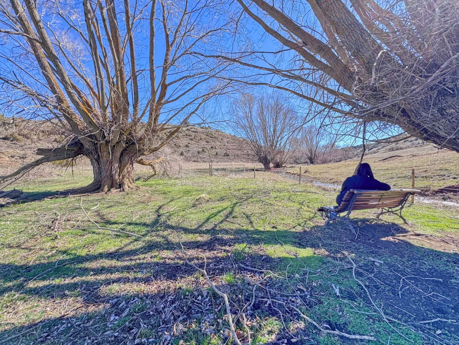 Erhverv til salg i Teruel by - € 999.000 (Ref: 9988695)
