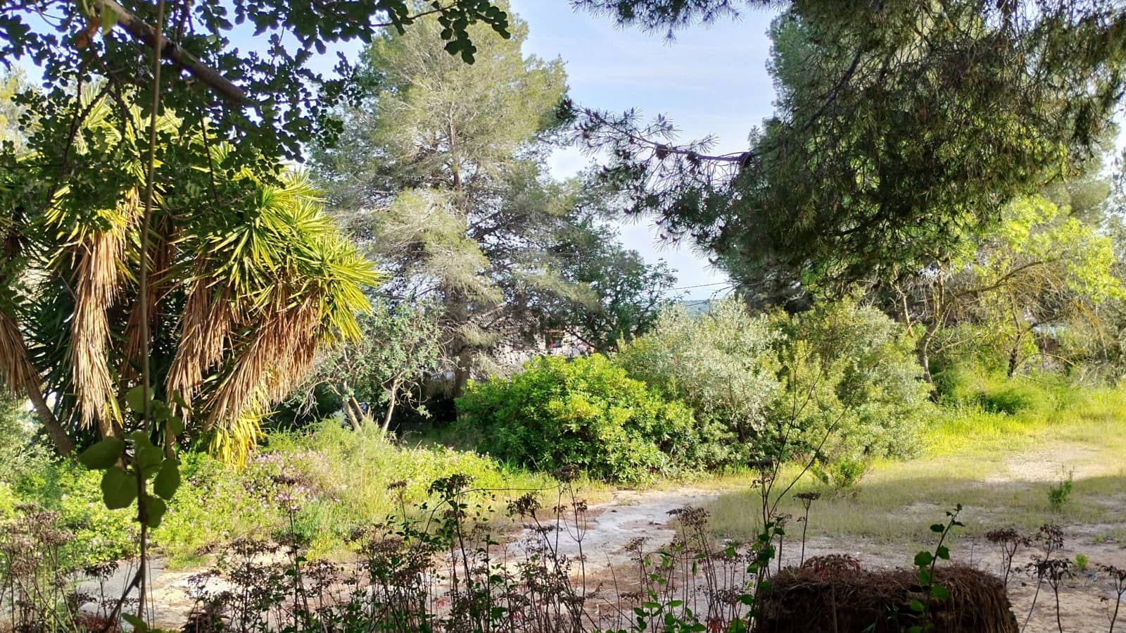 Mark till salu i Tarragona stad - 670 000 € (Ref: 9988700)