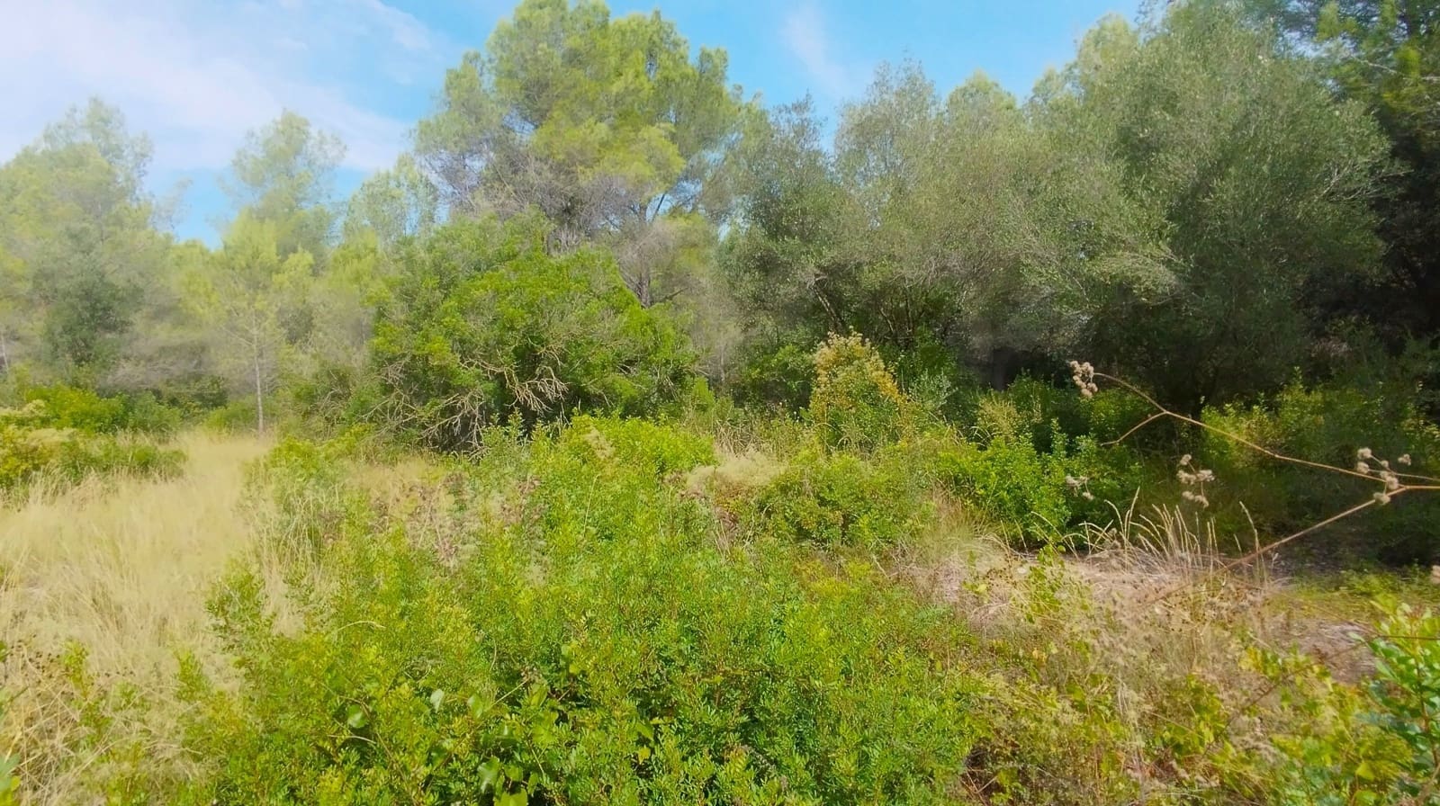 Mark till salu i Tarragona stad - 670 000 € (Ref: 9988700)