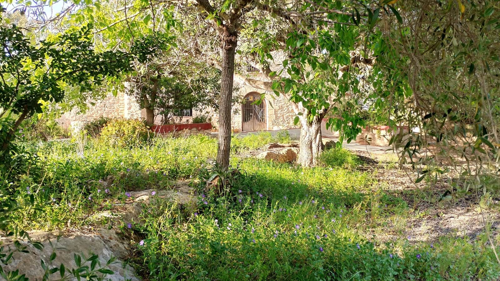 Mark till salu i Tarragona stad - 670 000 € (Ref: 9988700)