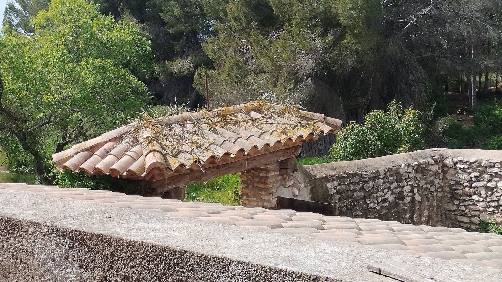 Mark till salu i Tarragona stad - 670 000 € (Ref: 9988700)