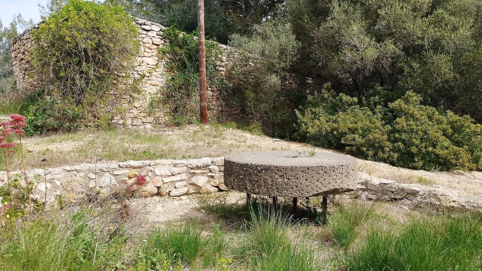 Mark till salu i Tarragona stad - 670 000 € (Ref: 9988700)
