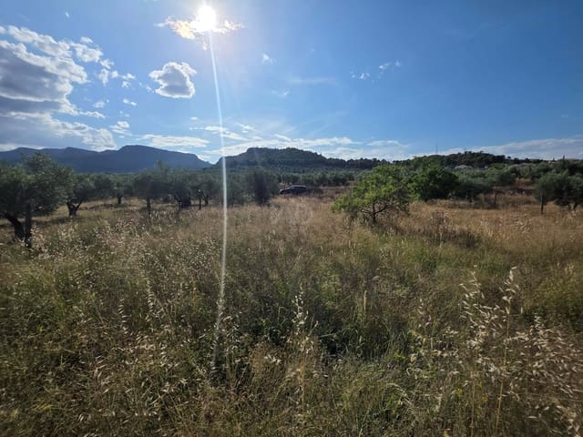 Grond te koop in Albacete stad - € 15.000 (Ref: 9988702)