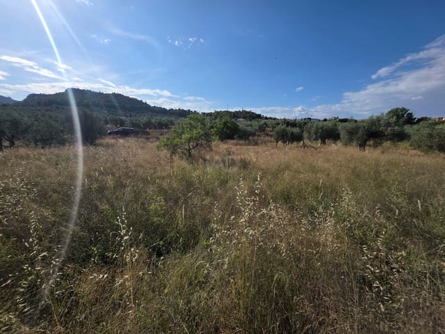 Grond te koop in Albacete stad - € 15.000 (Ref: 9988702)