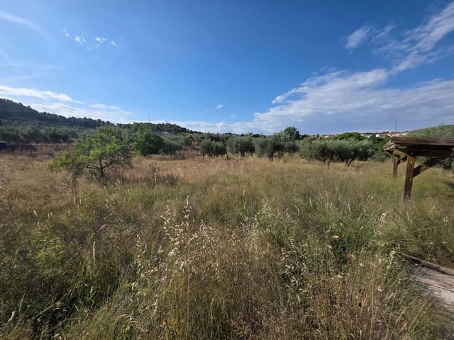 Grond te koop in Albacete stad - € 15.000 (Ref: 9988702)