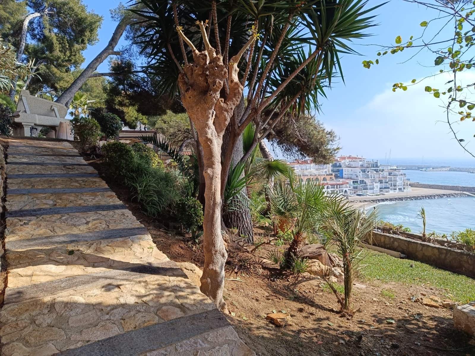 6 bedroom Townhouse for sale in Roda de Bara with garage - € 4,800,000 (Ref: 9988703)