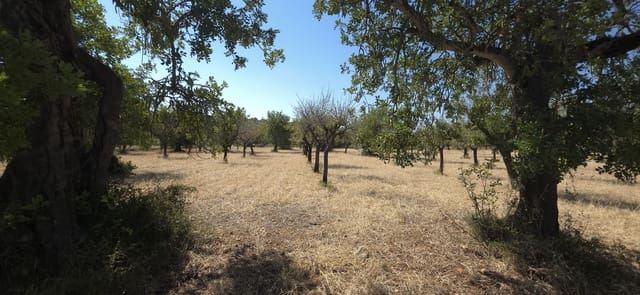 Ubebygd land til salgs i Selva - € 490 000 (Ref: 9988714)