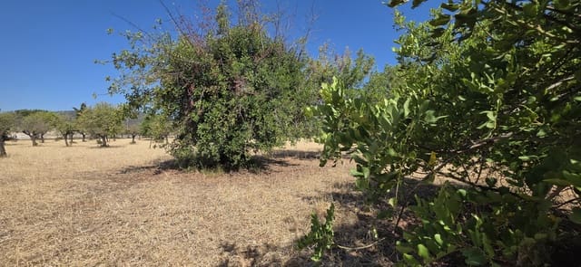 Ubebygd land til salgs i Selva - € 490 000 (Ref: 9988714)