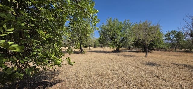 Ubebygd land til salgs i Selva - € 490 000 (Ref: 9988714)