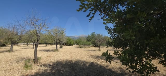 Ubebygd land til salgs i Selva - € 490 000 (Ref: 9988714)