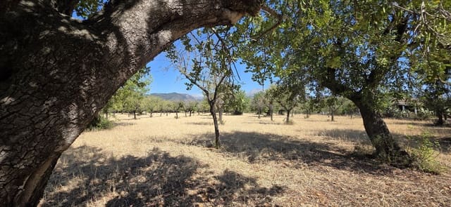 Ubebygd land til salgs i Selva - € 490 000 (Ref: 9988714)