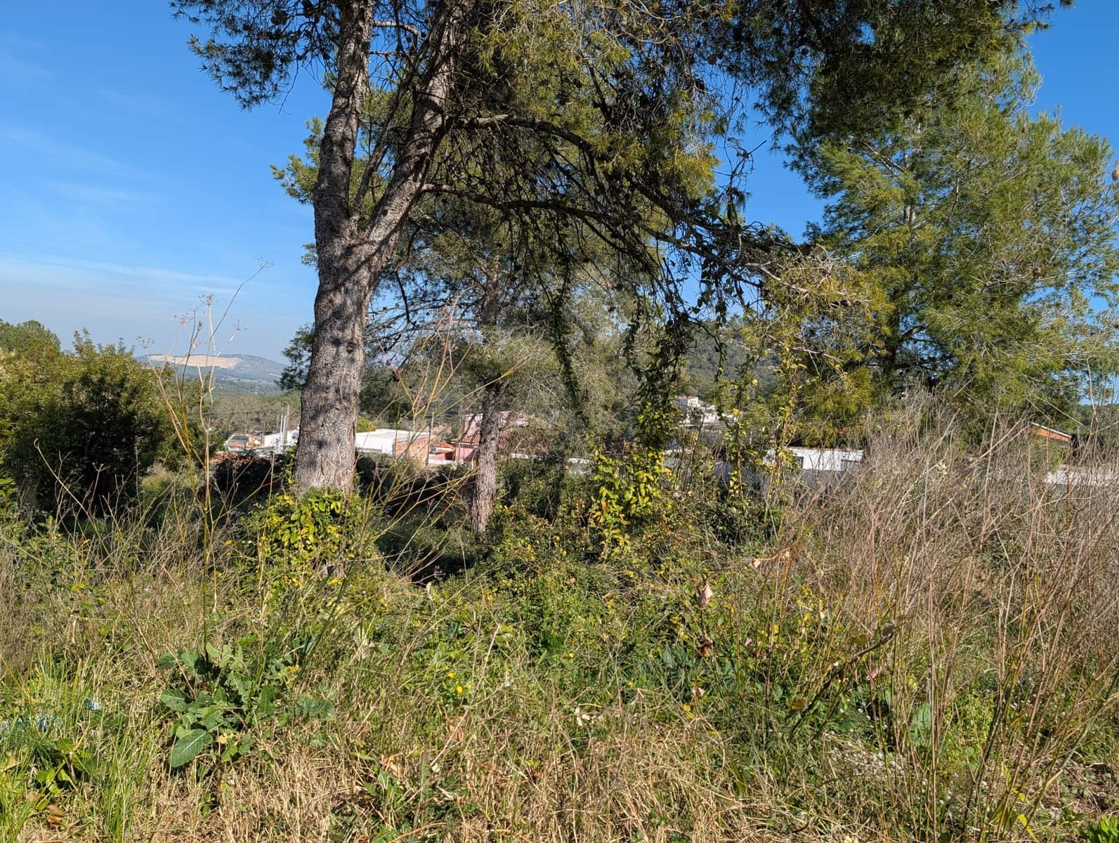 Ubebygd land til salgs i Barcelona by - € 86 000 (Ref: 9988717)
