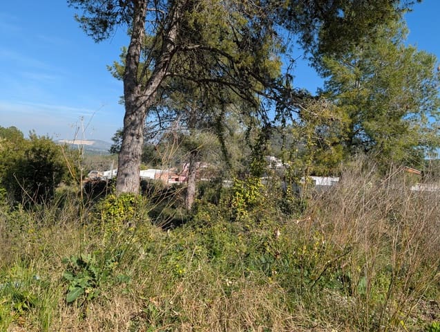 Ubebygd land til salgs i Barcelona by - € 86 000 (Ref: 9988717)