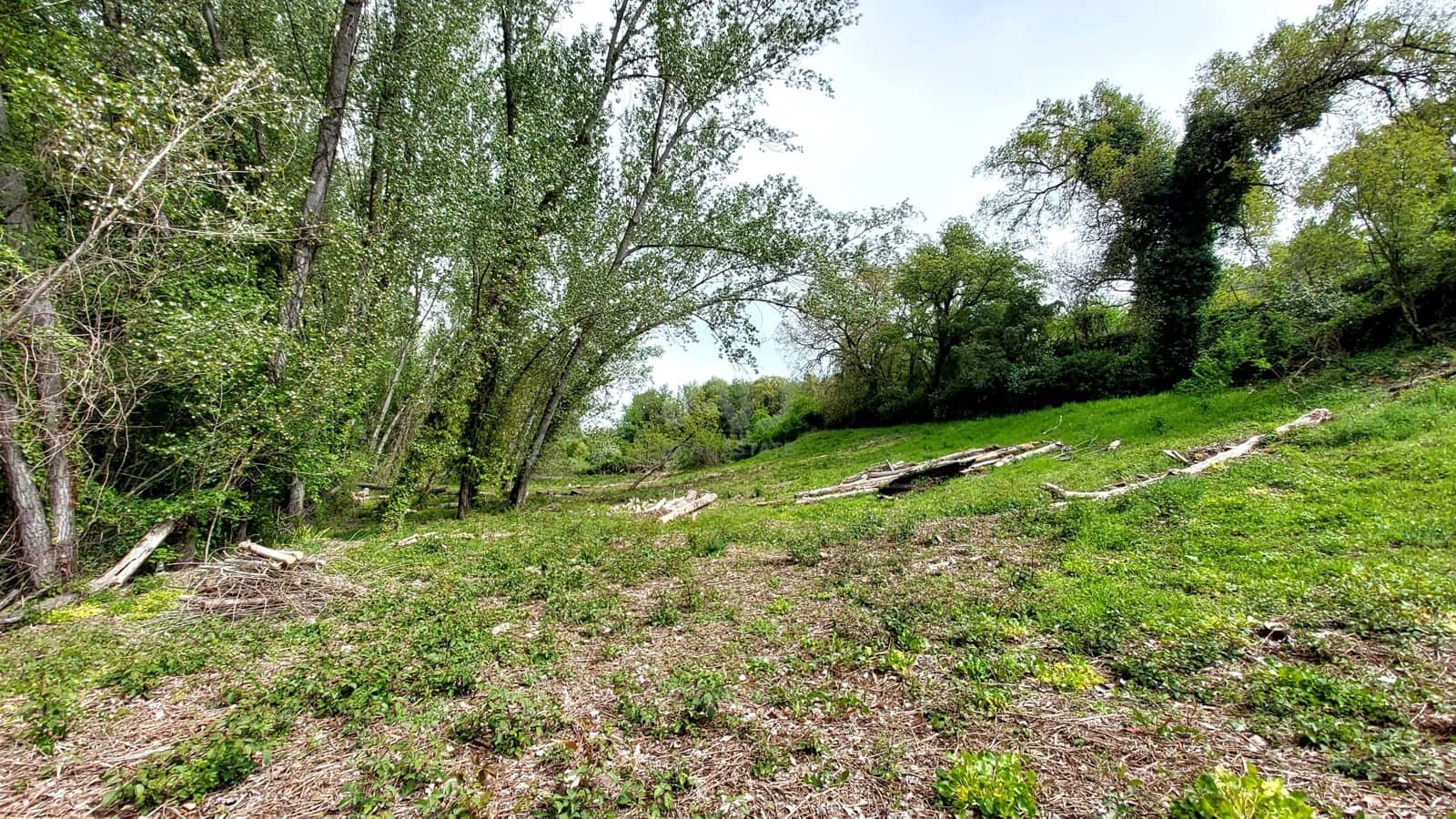 Grunde uden byggetilladelser til salg i Huelva by - € 54.000 (Ref: 9988727)