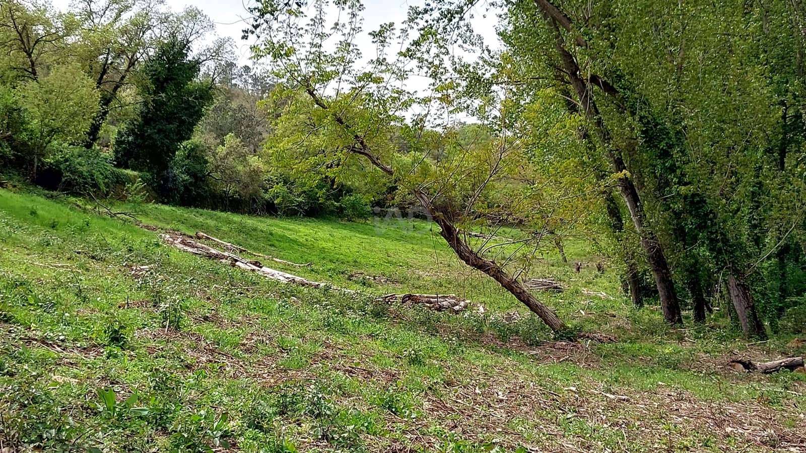 Grunde uden byggetilladelser til salg i Huelva by - € 54.000 (Ref: 9988727)