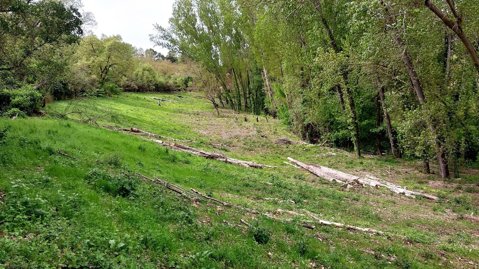 Grunde uden byggetilladelser til salg i Huelva by - € 54.000 (Ref: 9988727)