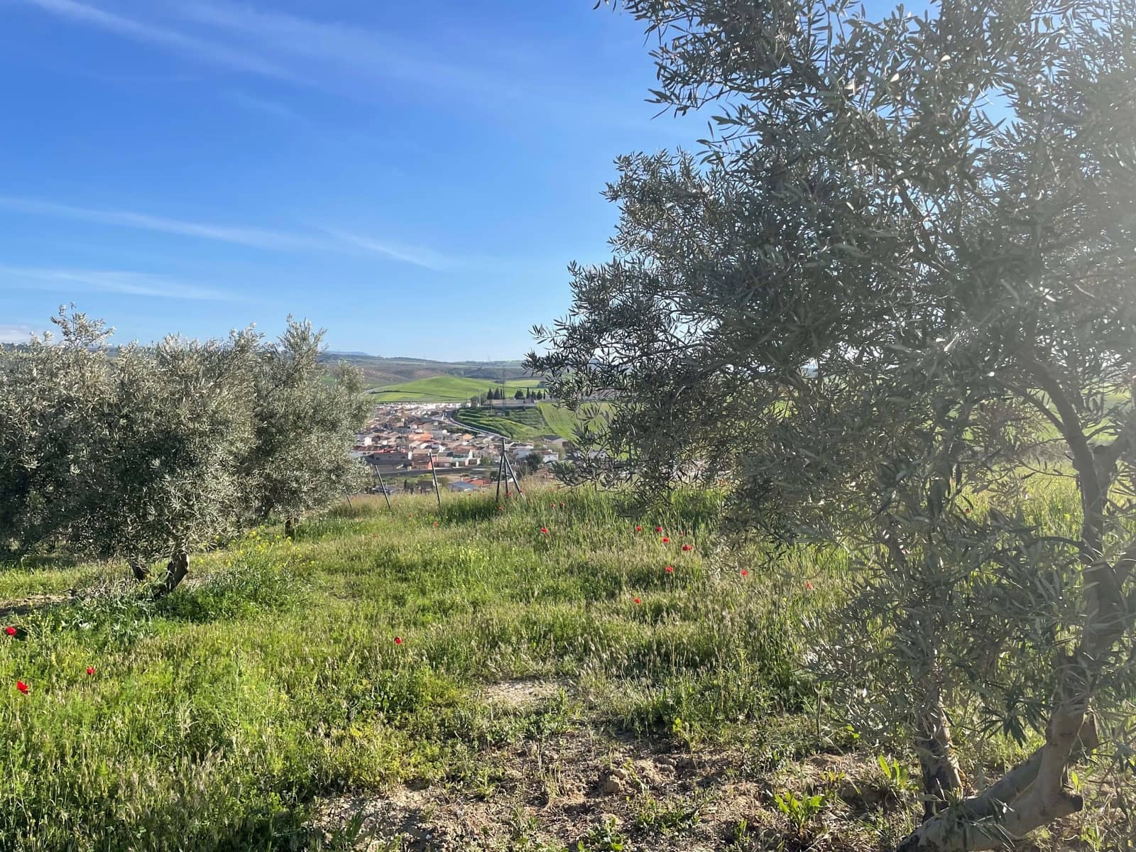 4 sypialnia Finka/Dom wiejski na sprzedaż w Miasto Grenada z garażem - 250 000 € (Ref: 9988734)