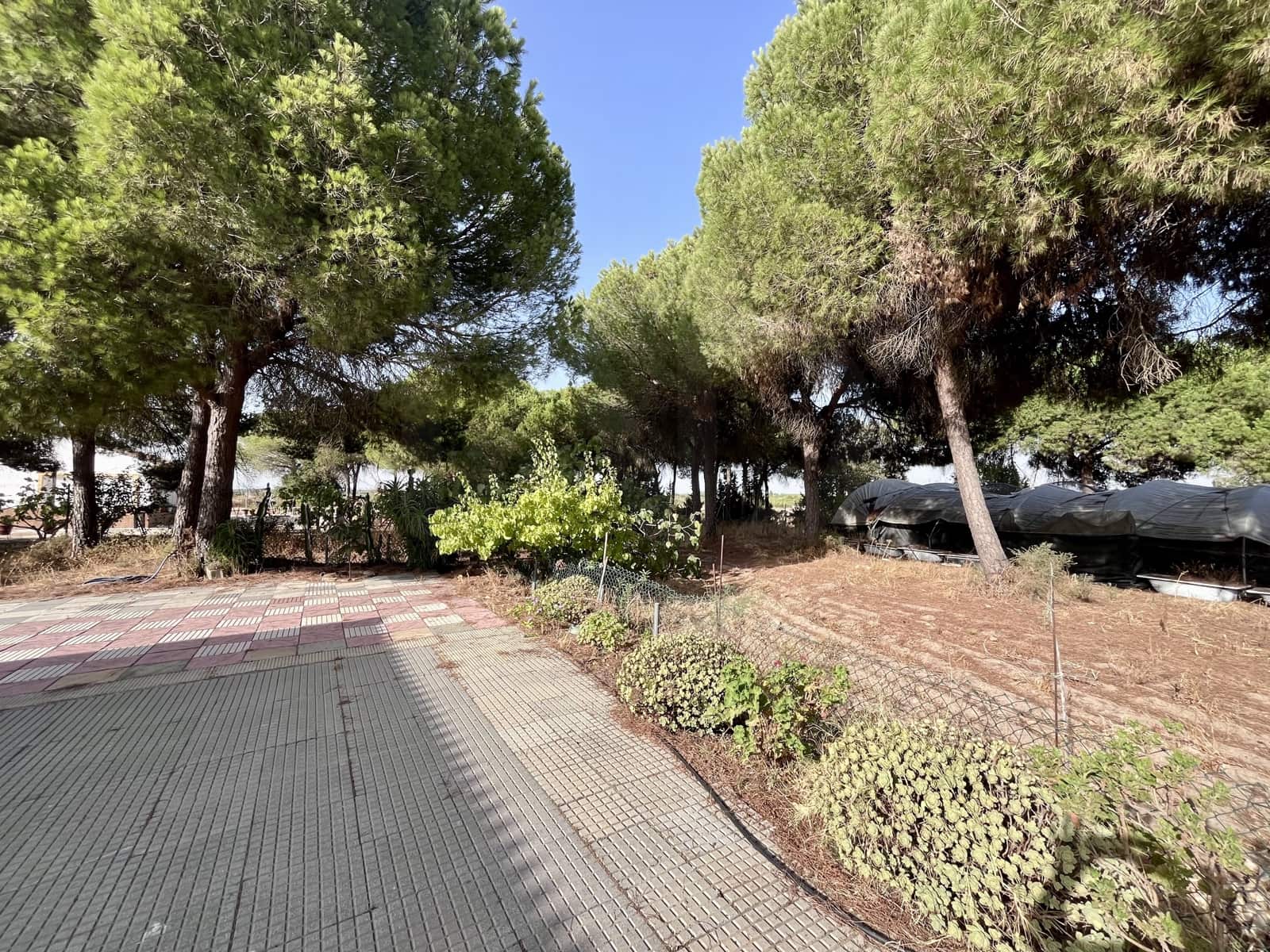 4 soverom Finca/Herregård til salgs i Huelva by med garasje - € 235 000 (Ref: 9988736)
