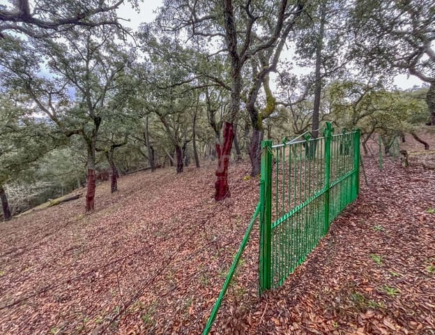Grond te koop in Galaroza - € 43.000 (Ref: 9988740)