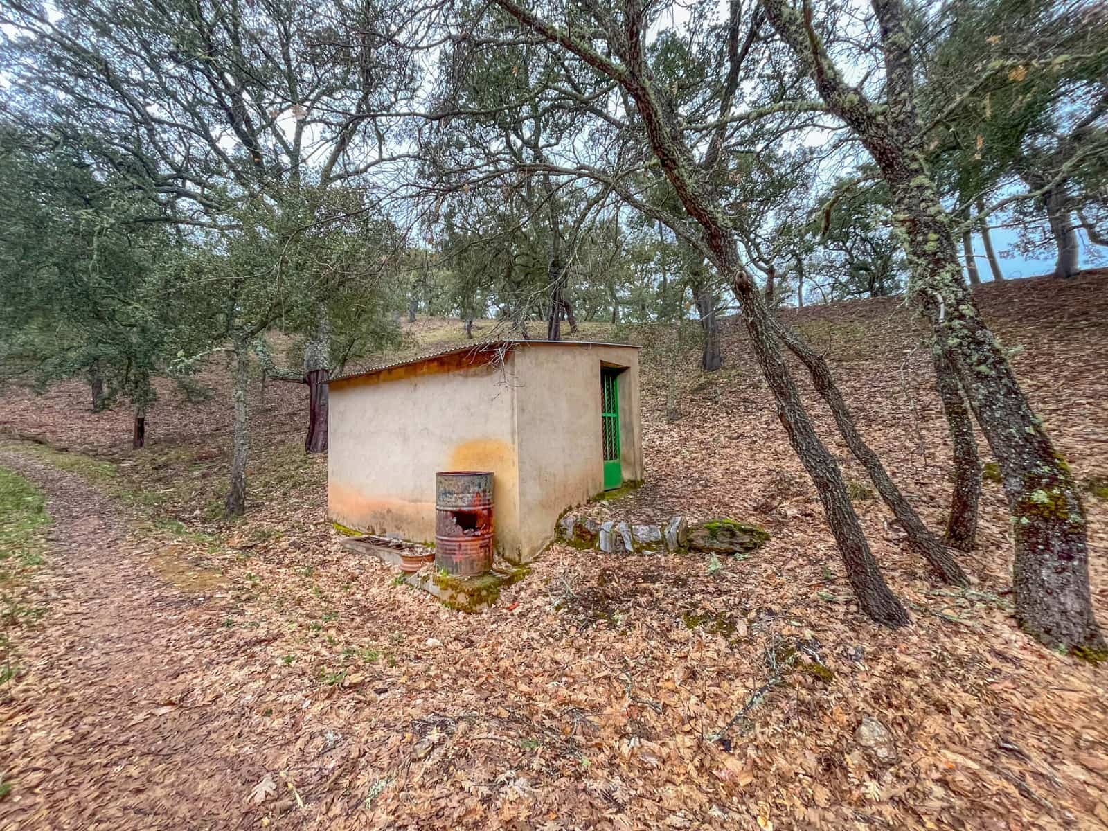 Mark till salu i Huelva stad - 43 000 € (Ref: 9988740)