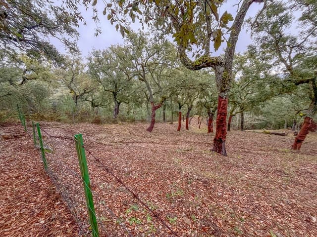 Grond te koop in Galaroza - € 43.000 (Ref: 9988740)