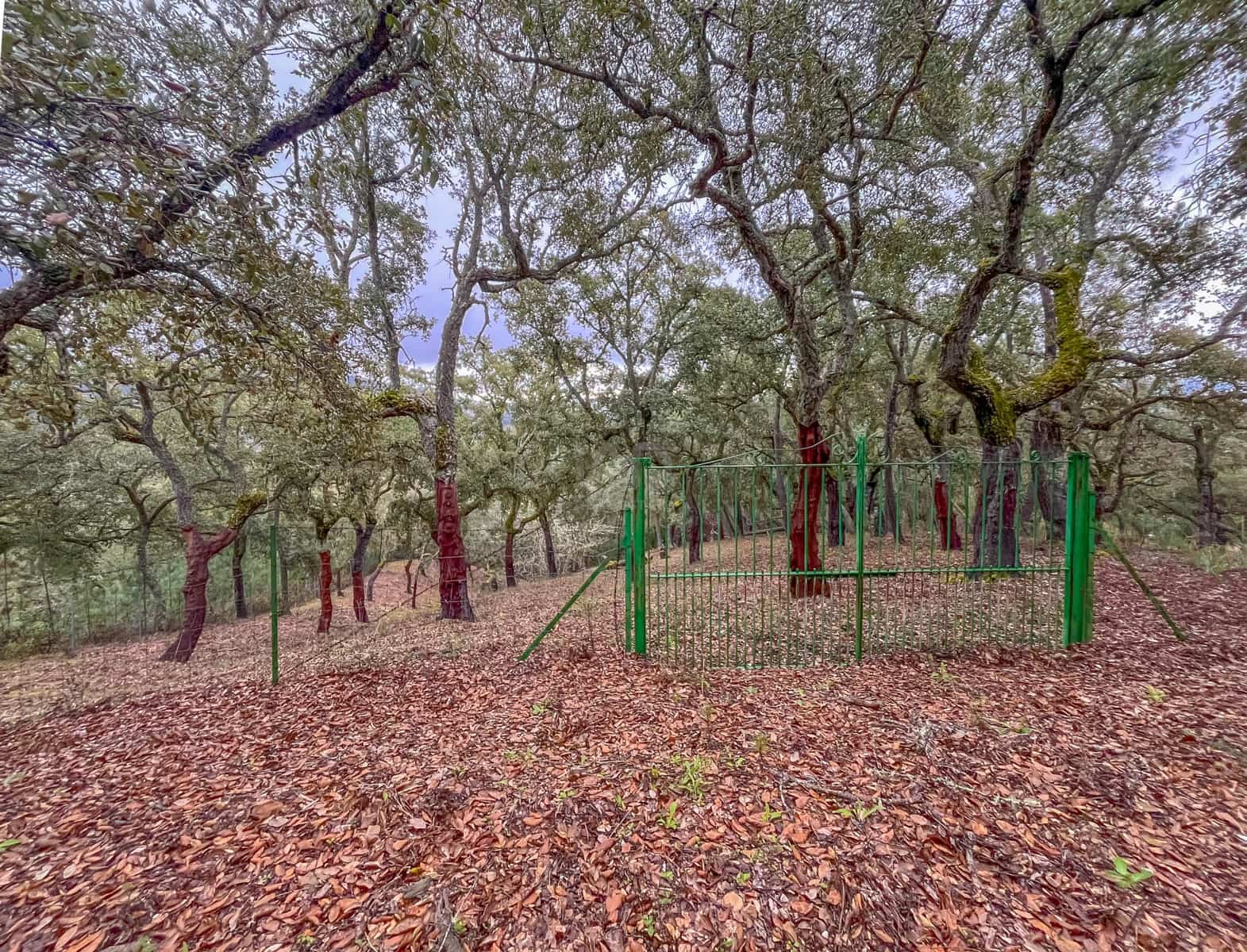 Mark till salu i Huelva stad - 43 000 € (Ref: 9988740)