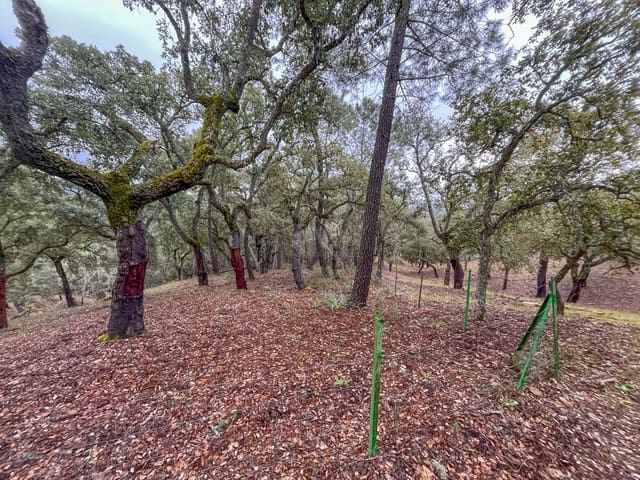 Grond te koop in Galaroza - € 43.000 (Ref: 9988740)