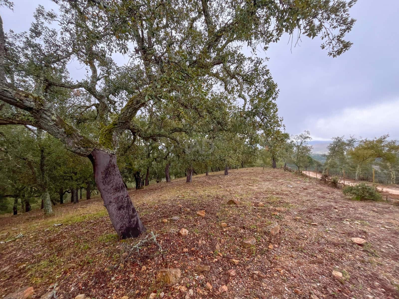 Mark till salu i Huelva stad - 43 000 € (Ref: 9988740)