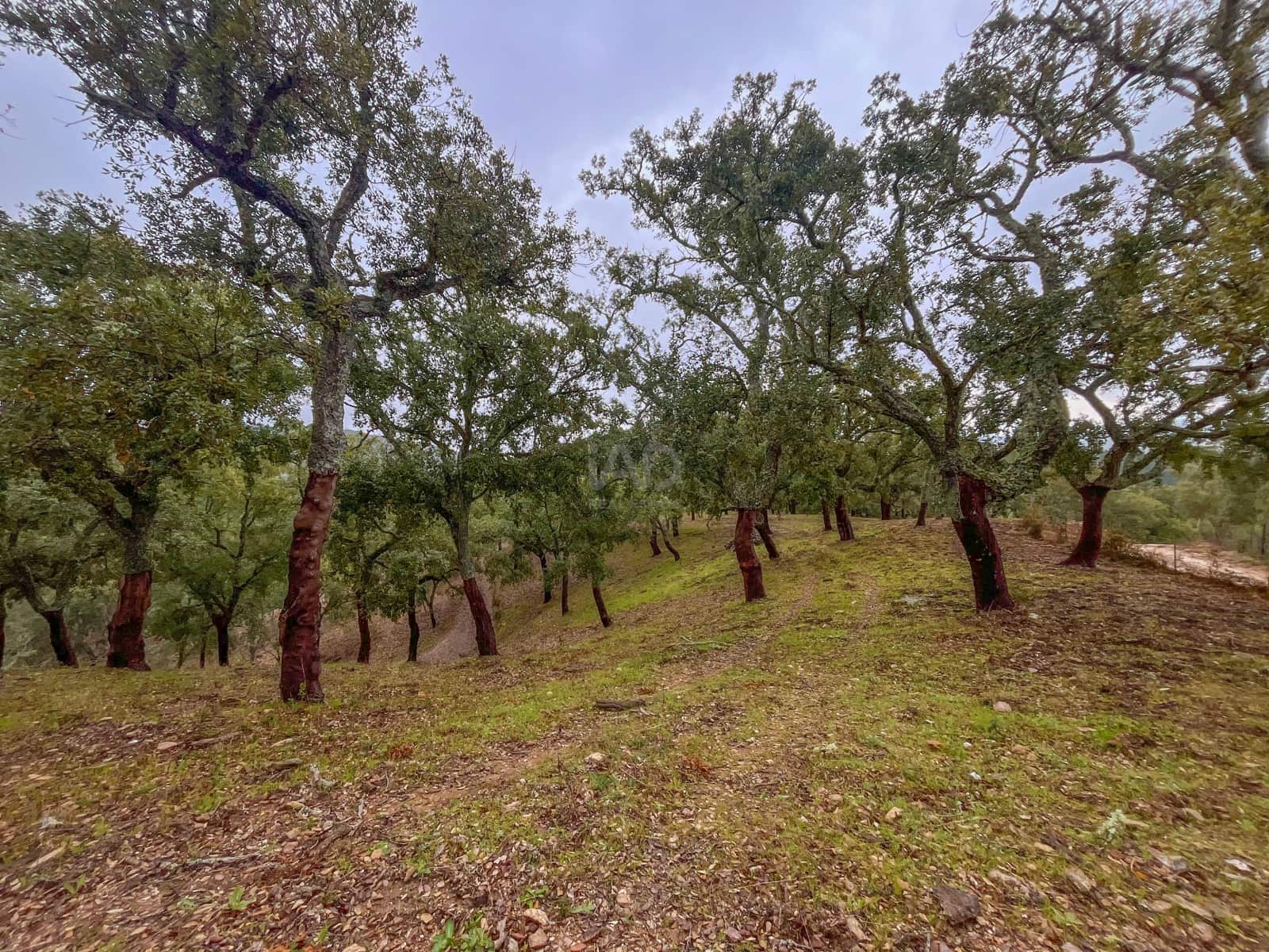 Mark till salu i Huelva stad - 43 000 € (Ref: 9988740)