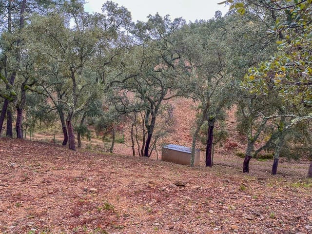 Grond te koop in Galaroza - € 43.000 (Ref: 9988740)