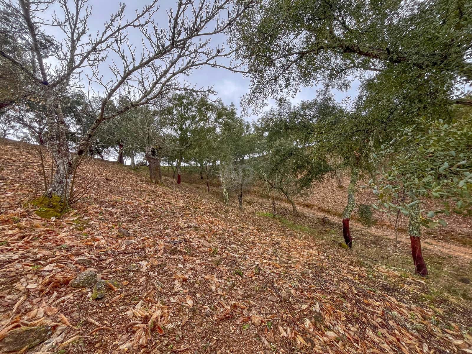 Mark till salu i Huelva stad - 43 000 € (Ref: 9988740)