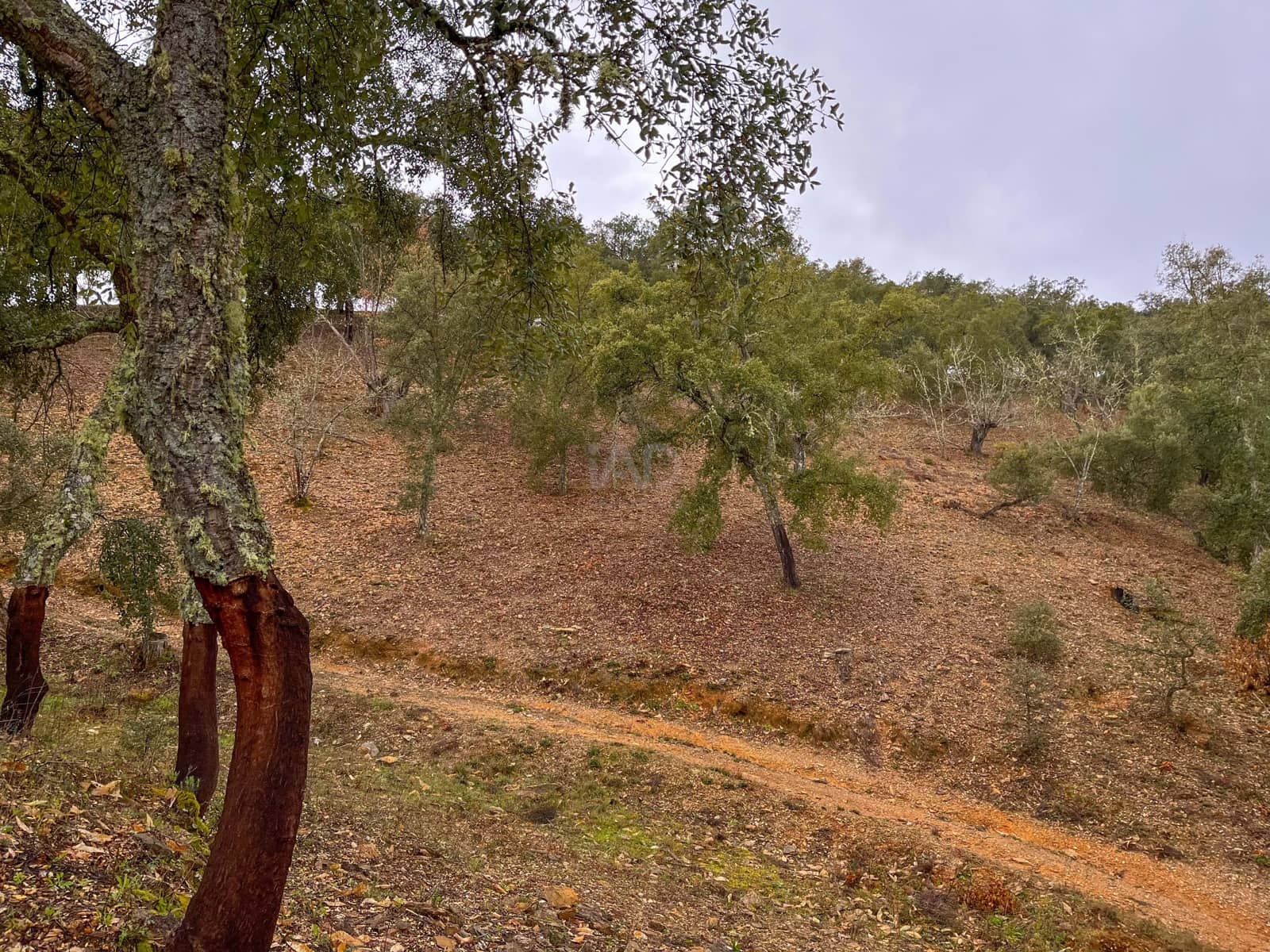 Mark till salu i Huelva stad - 43 000 € (Ref: 9988740)
