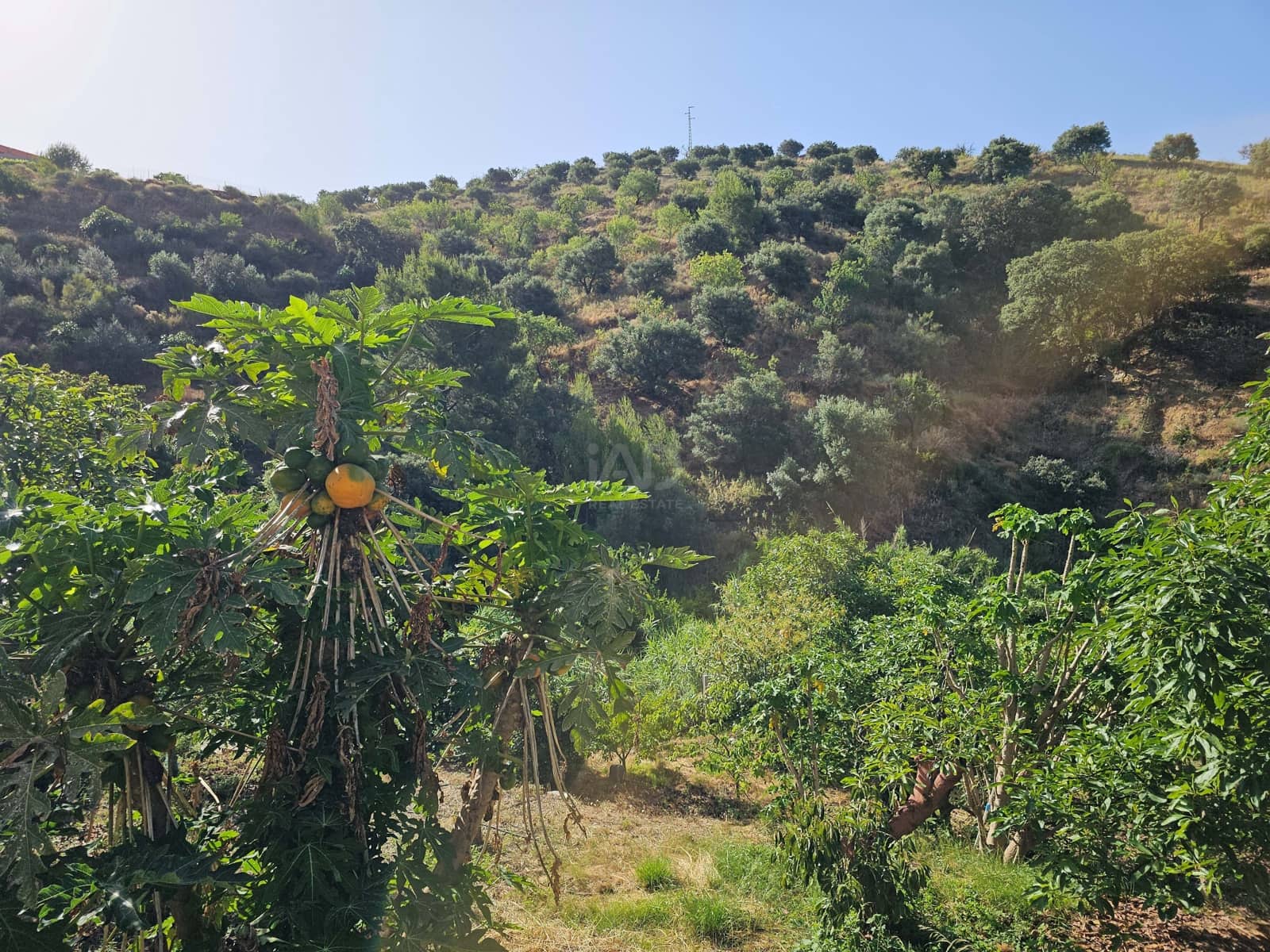 1 quarto Quinta/Casa Rural para venda em Granada cidade - 560 000 € (Ref: 9988741)
