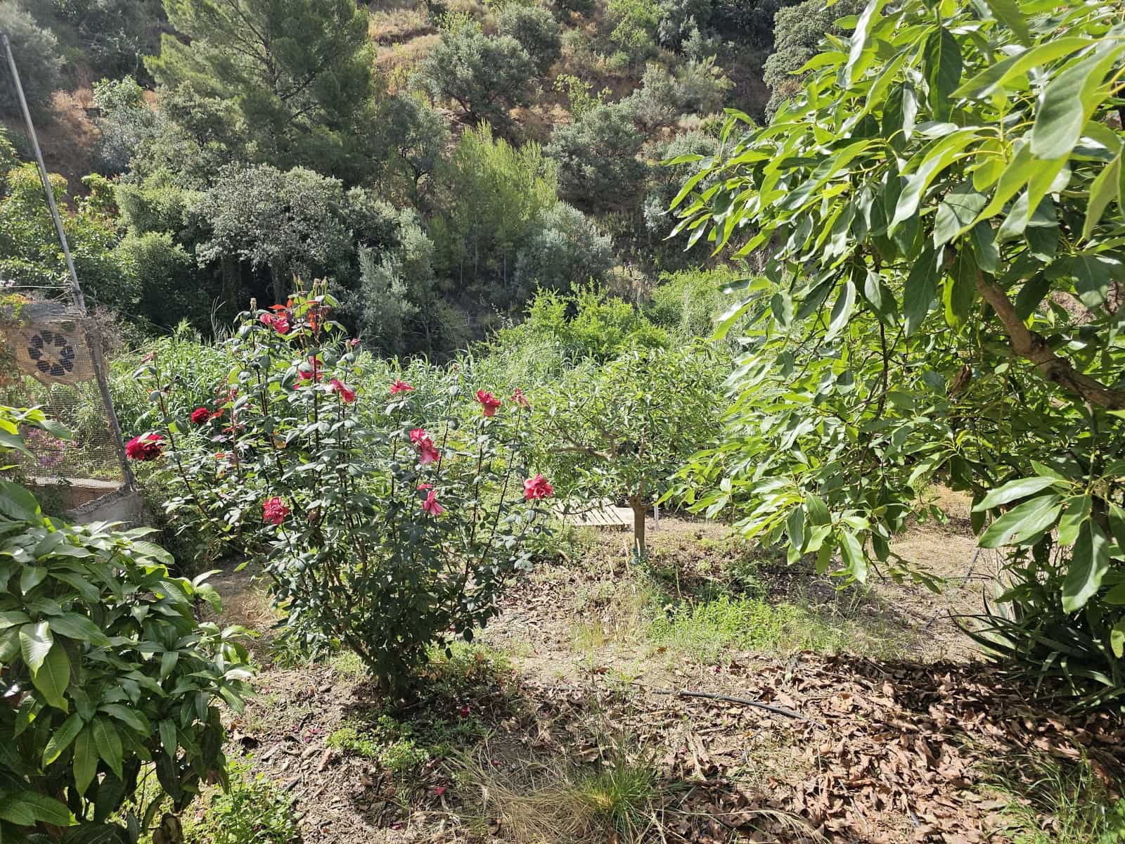 1 bedroom Finca/Country House for sale in Almunecar - € 560,000 (Ref: 9988741)