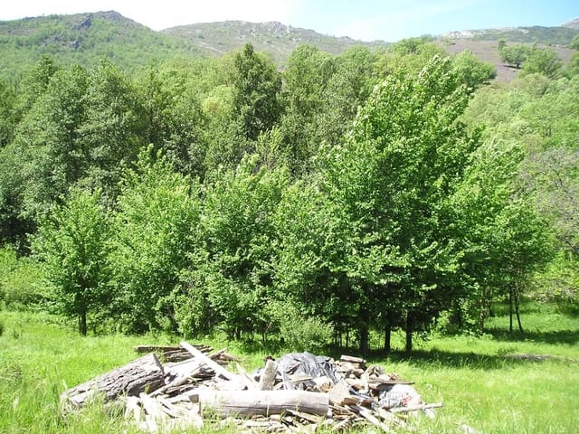 Tomt till salu i Madrid stad - 75 000 € (Ref: 9988746)